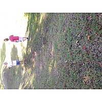 Maury muck TEST image